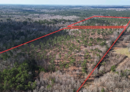 ±31.2 Acres Of East Texas Timberland/Homesite - image 1