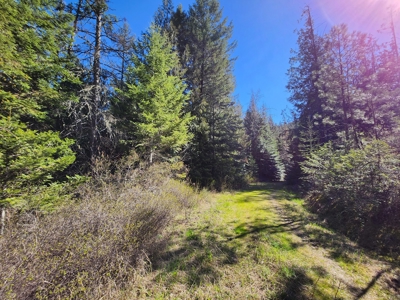 Prime land for sale in Latah County, Idaho! - image 5