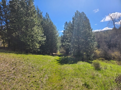 Prime land for sale in Latah County, Idaho! - image 3