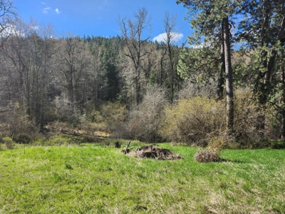 Prime land for sale in Latah County, Idaho! - image 2