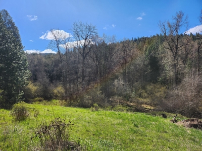 Prime land for sale in Latah County, Idaho! - image 4