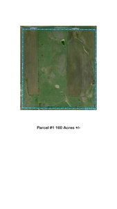 Ellsworth County Land Auction 179 Acres +/- - image 2