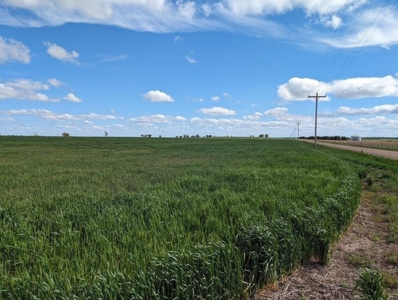 Ellsworth County Land Auction 179 Acres +/- - image 12
