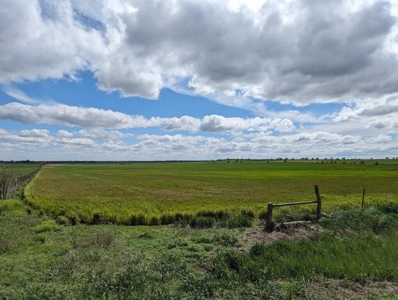Ellsworth County Land Auction 179 Acres +/- - image 5