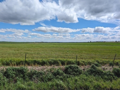 Ellsworth County Land Auction 179 Acres +/- - image 6