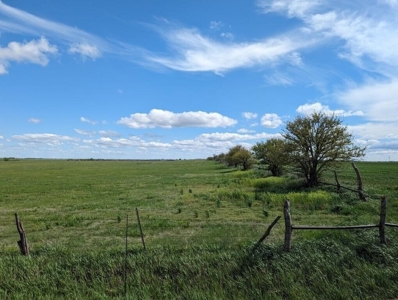 Ellsworth County Land Auction 179 Acres +/- - image 15