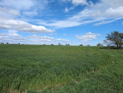 Ellsworth County Land Auction 179 Acres +/- - image 13