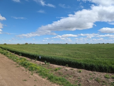 Ellsworth County Land Auction 179 Acres +/- - image 9