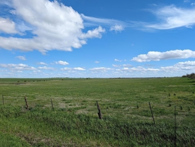 Ellsworth County Land Auction 179 Acres +/- - image 14
