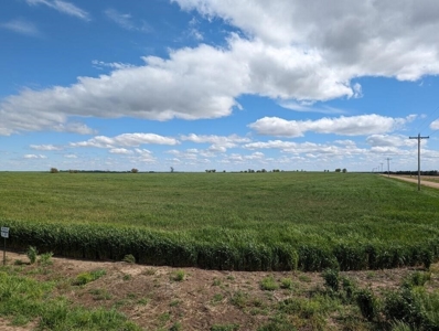 Ellsworth County Land Auction 179 Acres +/- - image 8