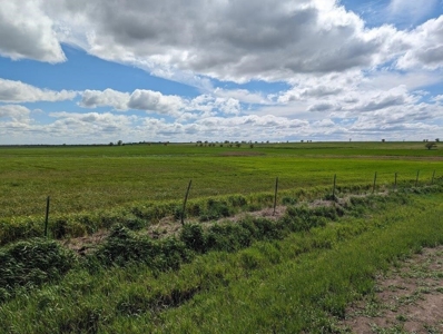 Ellsworth County Land Auction 179 Acres +/- - image 7