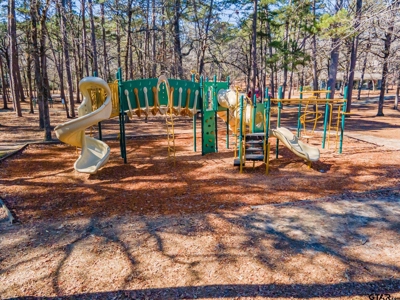 3/2/2 Holly Lake Ranch Home - East Texas - Wood County - image 43