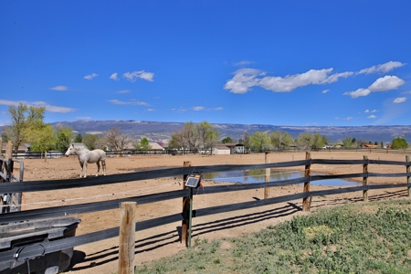 Horse Property For Sale in Delta County Colorado - image 26