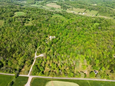 Country Home For Sale In Pulaski, TN - image 48