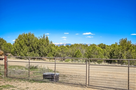 Horse friendly homestead in Southwest Colorado For Sale - image 14