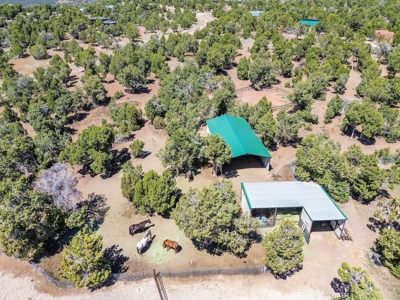 Horse friendly homestead in Southwest Colorado For Sale - image 6