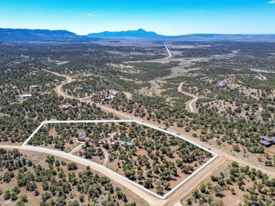Horse friendly homestead in Southwest Colorado For Sale - image 2