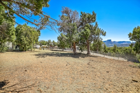 Horse friendly homestead in Southwest Colorado For Sale - image 12
