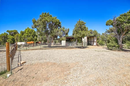 Horse friendly homestead in Southwest Colorado For Sale - image 8