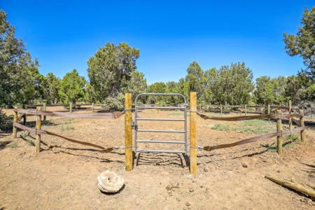 Horse friendly homestead in Southwest Colorado For Sale - image 11