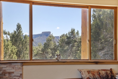 Horse friendly homestead in Southwest Colorado For Sale - image 34