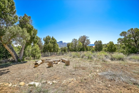 Horse friendly homestead in Southwest Colorado For Sale - image 19