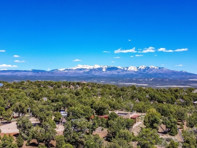 Horse friendly homestead in Southwest Colorado For Sale - image 4