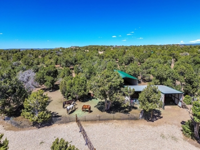 Horse friendly homestead in Southwest Colorado For Sale - image 5