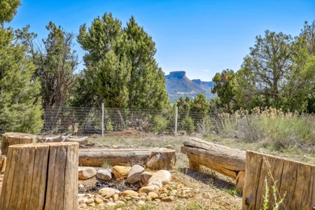 Horse friendly homestead in Southwest Colorado For Sale - image 23