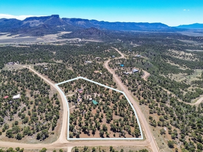 Horse friendly homestead in Southwest Colorado For Sale - image 3