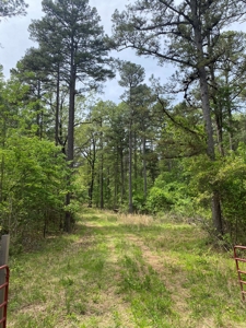 Secluded Land For Sale In Norfork, Arkansas - image 10