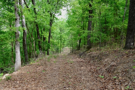 Secluded Land For Sale In Norfork, Arkansas - image 6