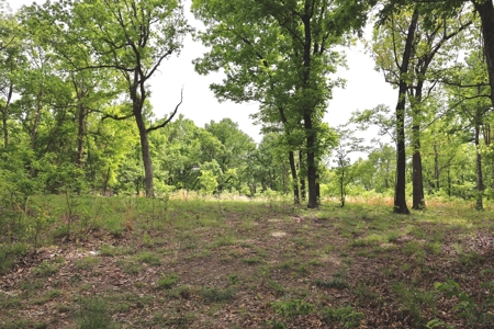 Secluded Land For Sale In Norfork, Arkansas - image 5