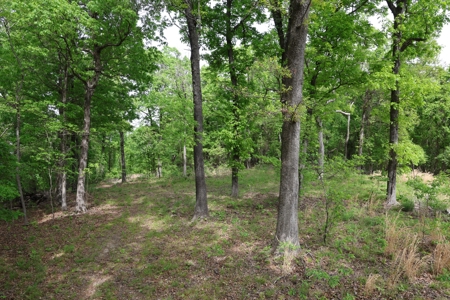Secluded Land For Sale In Norfork, Arkansas - image 9