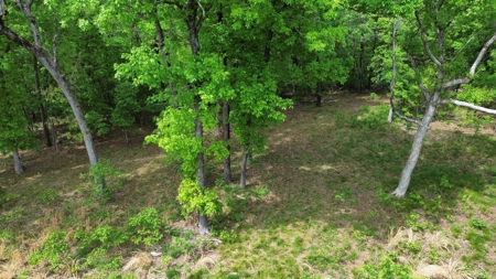 Secluded Land For Sale In Norfork, Arkansas - image 4