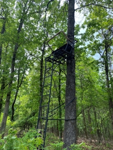 Secluded Land For Sale In Norfork, Arkansas - image 12