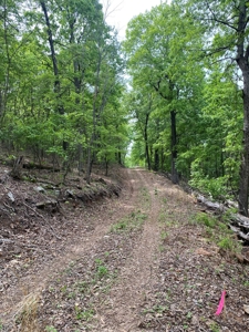 Secluded Land For Sale In Norfork, Arkansas - image 11