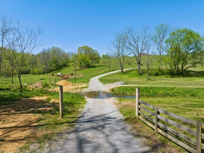 Expansive 142-Acre Property with Unlimited Potential - image 15