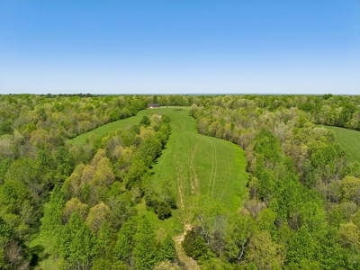 Expansive 142-Acre Property with Unlimited Potential - image 28