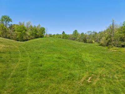 Expansive 142-Acre Property with Unlimited Potential - image 34