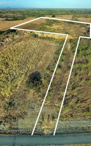 Land for sale in El Coco, Penonomé - image 1