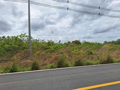 Land for sale in El Coco, Penonomé - image 8