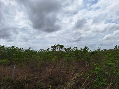 Land for sale in El Coco, Penonomé - image 10