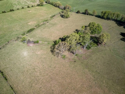77 Acres Of Lush Pastures Southern Missouri Ozarks - image 5