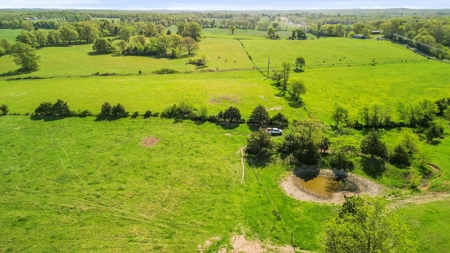 77 Acres Of Lush Pastures Southern Missouri Ozarks - image 22