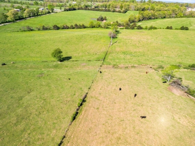 77 Acres Of Lush Pastures Southern Missouri Ozarks - image 25