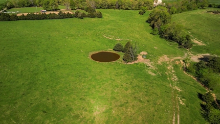 77 Acres Of Lush Pastures Southern Missouri Ozarks - image 28