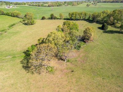 77 Acres Of Lush Pastures Southern Missouri Ozarks - image 26