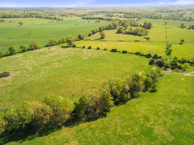 77 Acres Of Lush Pastures Southern Missouri Ozarks - image 21