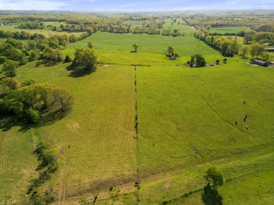 77 Acres Of Lush Pastures Southern Missouri Ozarks - image 1